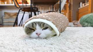 Thumbnail of post image 069